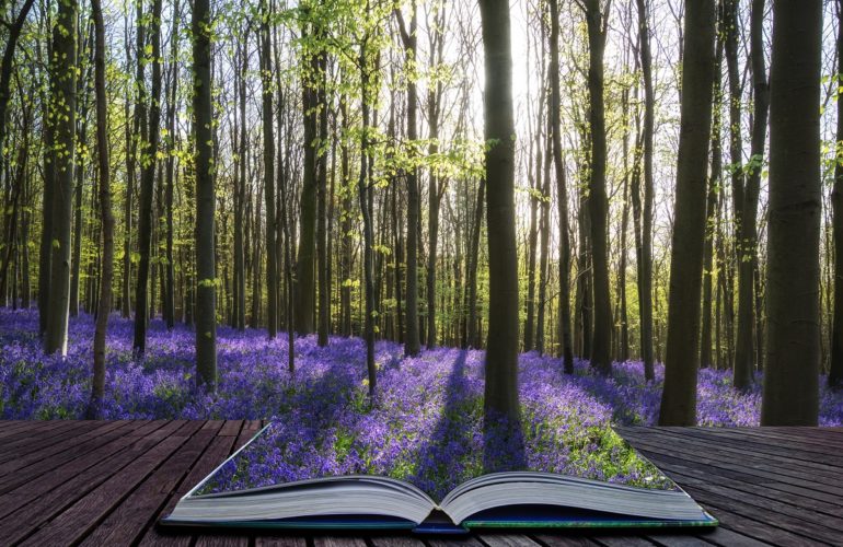 Hospice Comms Day 2017: Walk your way to great stories