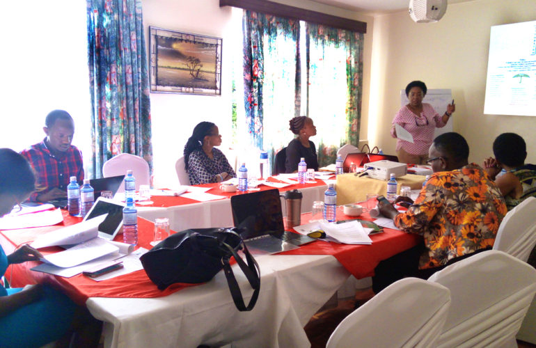 Kenya Palliative Care Policy in the making