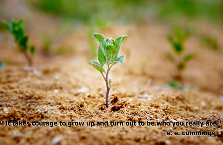 Be inspired 5 December 2012