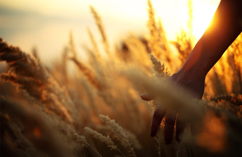 What my dying wife and I never knew about palliative care
