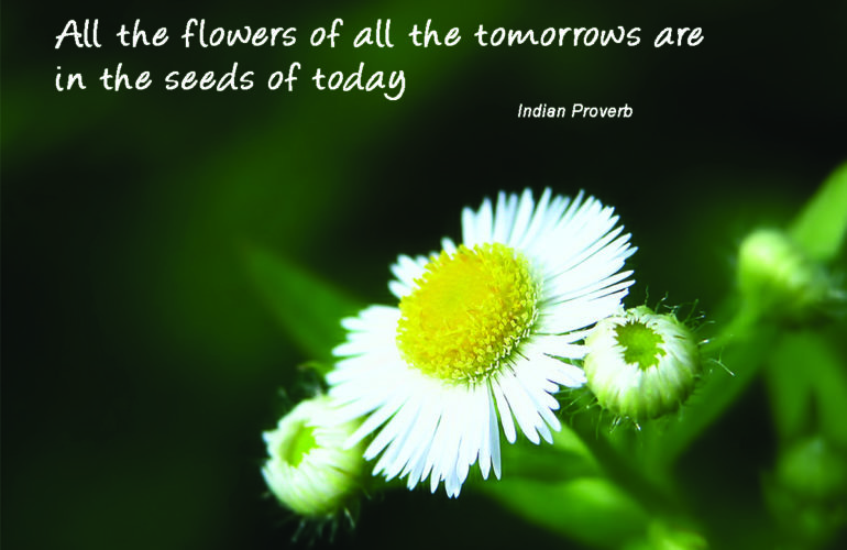 Be inspired 20 March 2013