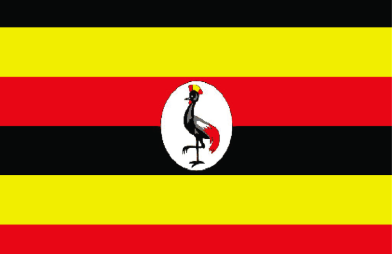 Makerere University announces intake for palliative care courses