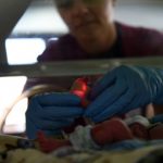 First ever textbook by nurses for nurses on neonatal palliative care launched at Leeds conference