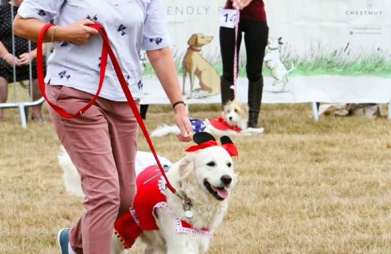 St Elizabeth Hospice Announced as New Organisers of Suffolk Dog Day!