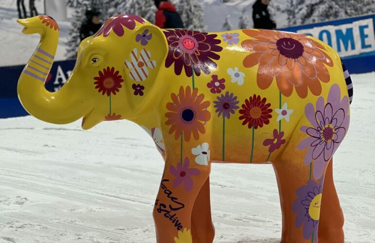 Businesses invited to celebrate March of the Elephants trail at launch event in Lichfield