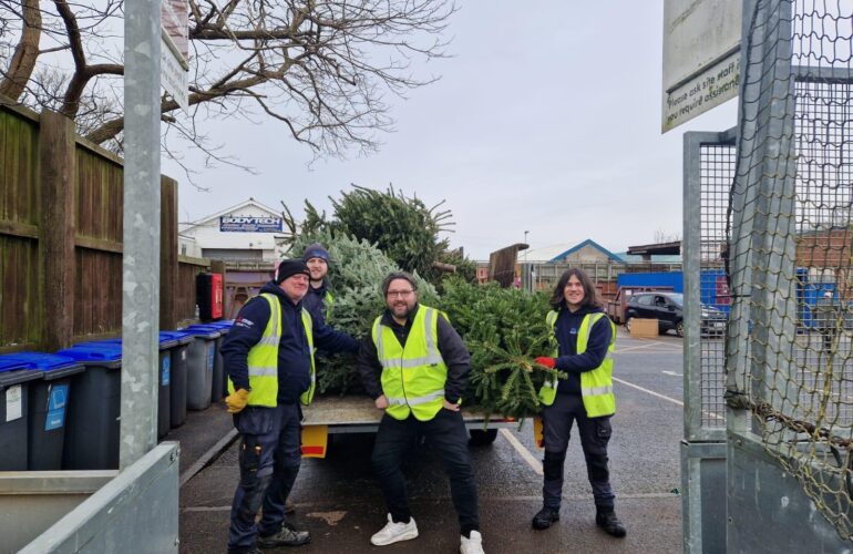 Tree-mendous effort for hospice care