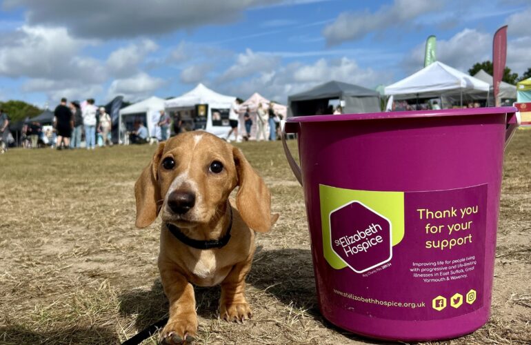 Suffolk Dog Day Gets Tails Wagging for the Hospice