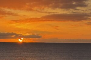 IMG_9525