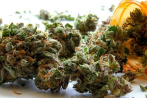 medical_cannabis