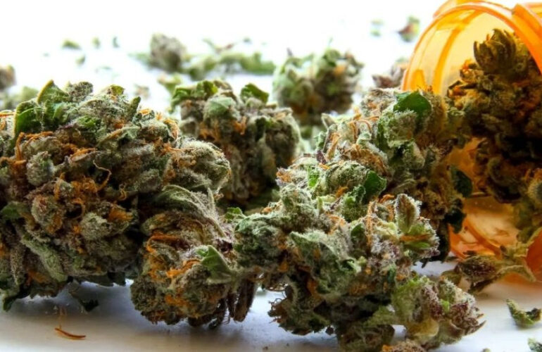 Dr. Cyr and Cannabis in Palliative Care: “Strew the Path to the Tomb with Flowers”