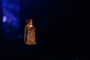 EKR Pictures - Light up a Life Ashgate Hospice-12
