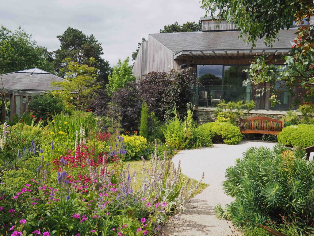 Integrating eco-therapy into hospice care: why spring offers a timely opportunity OLYMPUS DIGITAL CAMERA