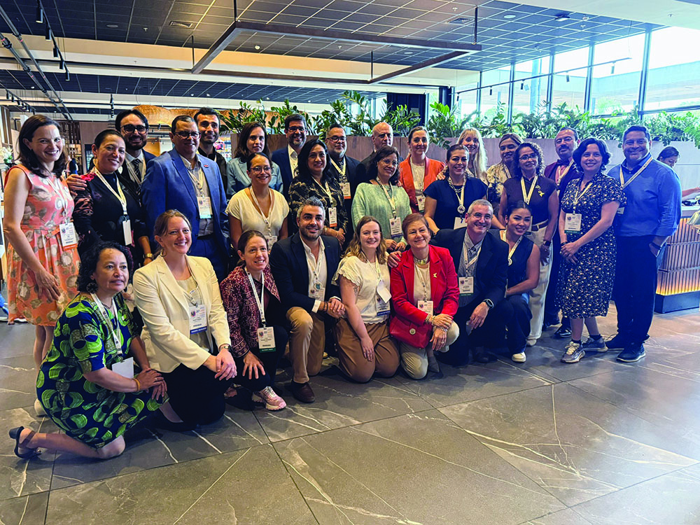 Collaborating Across Regions -GPIC at ALCP 2026 - ehospice