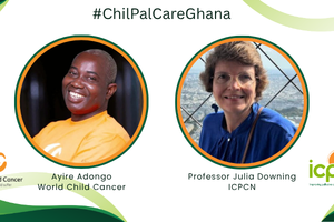 ChilPalCareGhana
