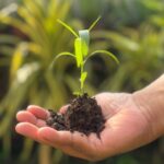 Second Chances: Listening for What Matters Most – Dr Ruben Vighnesvaran