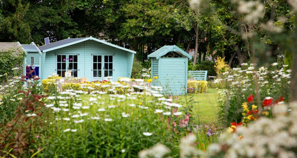 st-cuthberts-hospice-national-garden-scheme-ngs-open-gardens-hospiceuk