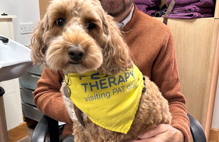 Volunteers give over 110,000 hours to hospice charity