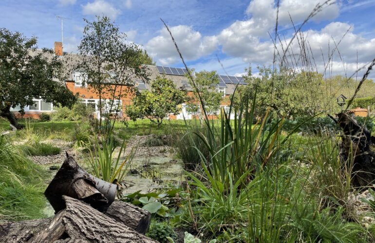 Willen Hospice opens up lakeside gardens  for National Garden Scheme