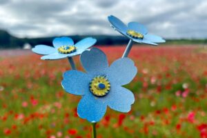 900 forget-me-nots will brightly bloom in Worcester this summer