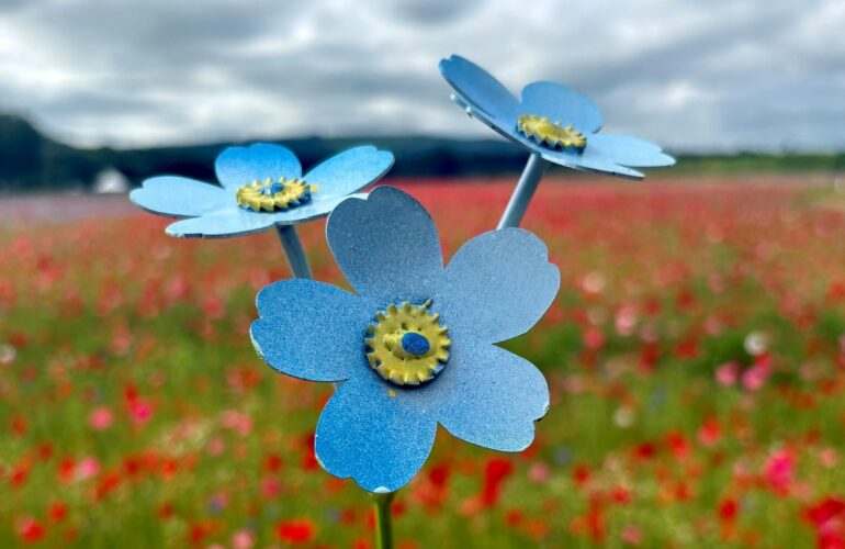 Forget-me-not garden to help county residents remember and reflect
