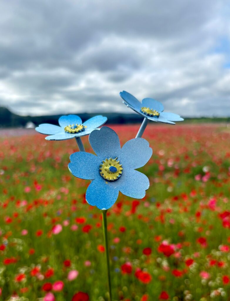 900 forget-me-nots will brightly bloom in Worcester this summer