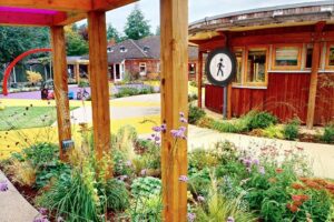 Walsall garden