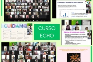 Collage-ECHO-SP-500x400.jpg
