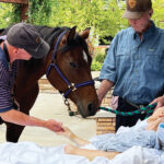 Center for Hospice Care Earns Prestigious 5-Star Hospice Caregiver Satisfaction Rating